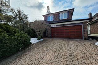 Backsplit for Rent, 41 Norhead Ave, Toronto, ON Backsplit for Rent, 41 Norhead Ave, Toronto, ON