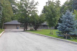 Bungalow for Rent, 9779 Warden Ave, Markham, ON Bungalow for Rent, 9779 Warden Ave, Markham, ON