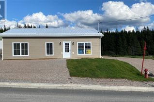 Bungalow for Sale, 20 Albert Street, Massey Drive, NL