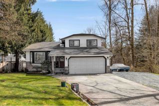 Property for Sale, 23329 Tamarack Lane, Maple Ridge, BC
