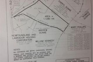 Commercial Land for Sale, 0 Old Road, Conception Harbour, Conception Bay South, NL