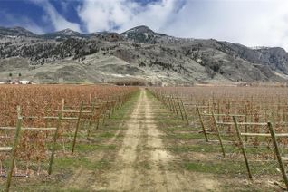 Commercial Farm for Sale, 951 Keremeos Bypass Road, Keremeos, BC