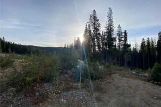 Commercial Land for Sale, 19 Buck Road, Oliver, BC