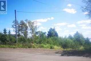 Commercial Land for Sale, 394 Main Street, Northern Arm, NL