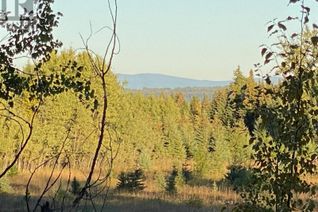Land for Sale, Dl7872 Takla Forest Road #BLOCK D, Prince George, BC