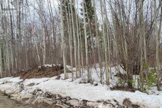 Commercial Land for Sale, Lot 1 Findlay Road, Quesnel, BC