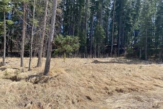 Commercial Land for Sale, 175 Woodfrog Way, Rural Mountain View County, AB