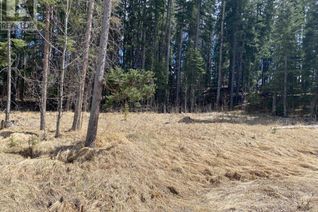 Land for Sale, 175 Woodfrog Way, Rural Mountain View County, AB