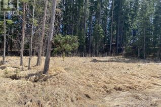 Commercial Land for Sale, 175 Woodfrog Way, Rural Mountain View County, AB