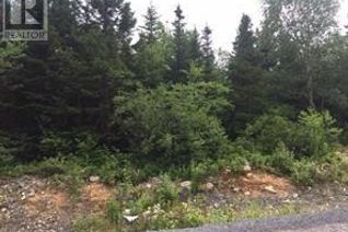 Land for Sale, 39 Clearwater Drive, Clarenville, NL