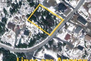 Land for Sale, 129-135 Seymours Road, Spaniards Bay, NL