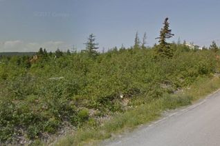 Land for Sale, 129-131 Seymours Road, Spaniards Bay, NL