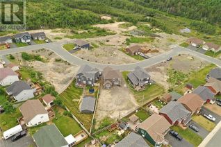Property for Sale, 20 Heidi Crescent, CBS, NL