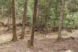 Property for Sale, 12110 County Rd 503 Rd, Highlands East, ON