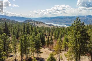 Vacant Residential Land for Sale, 250 Long Joe Road, Osoyoos, BC