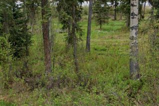 Property for Sale, Lot 8 Horse Lake Road, Horse Lake, BC