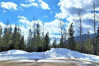 Vacant Residential Land for Sale, 4 Dempsey Place, Elkford, BC