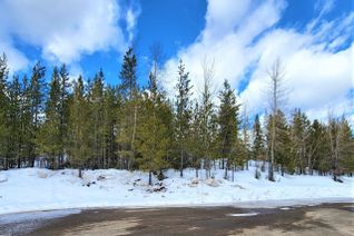 Land for Sale, 7 Dempsey Place, Elkford, BC