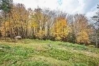 Vacant Residential Land for Sale, Con 5 Pt Lt 41 Shafley Rd, Wainfleet, ON
