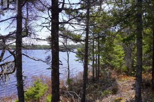 Commercial Land for Sale, Lot 9 Trout Lake Drive, Grande Anse, NS