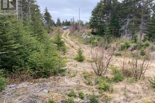 Land for Sale, 30 Cat Hill Road, Bay Roberts, NL