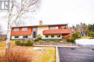 Property for Sale, 19 Maple Street, CBS, NL