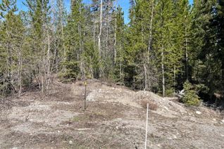 Vacant Residential Land for Sale, 24 David Crescent, Elkford, BC