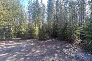 Vacant Residential Land for Sale, 37 Douglas Crescent, Elkford, BC