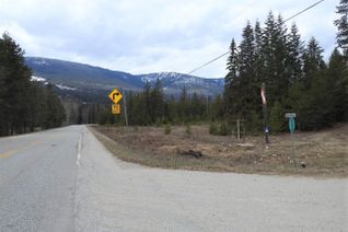 Land for Sale, 9700 Highway 6, West Arrow Park to Edgewood, BC