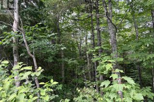 Property for Sale, 2 Lot 2 Butler Road Road, Forest Home, NS