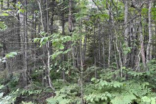 Land for Sale, 5 Lot 5 Butler Road Road, Forest Home, NS