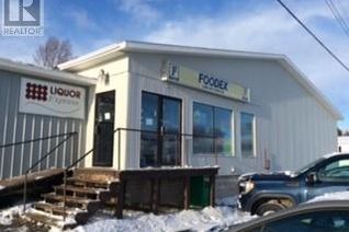 Commercial/Retail Property for Sale, 87-89 Water Street, Main Brook, NL