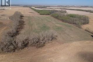 Commercial Land for Sale, On Range Road 203, Rural Camrose County, AB
