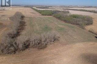 Land for Sale, On Range Road 203, Rural Camrose County, AB