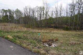 Commercial Land for Sale, 33 53214 Rge Rd 13, Rural Parkland County, AB