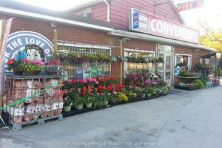 Convenience/Variety Business for Sale, 372 The Queensway S, Georgina, ON