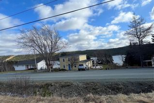 Commercial Land for Sale, 214 Main Road, Mount Carmel, NL