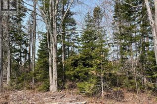 Land for Sale, Lot 02 Beaverbrook Road, Miramichi, NB