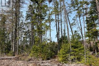 Commercial Land for Sale, Lot 01 Beaverbrook Road, Miramichi, NB
