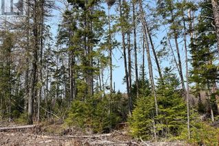 Land for Sale, Lot 01 Beaverbrook Road, Miramichi, NB