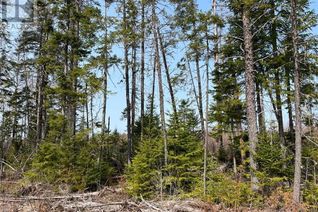 Commercial Land for Sale, Lot 03 Beaverbrook Road, Miramichi, NB