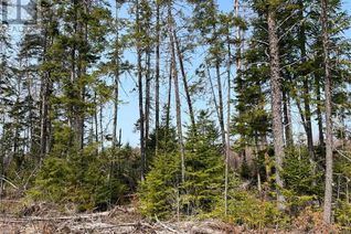 Land for Sale, Lot 03 Beaverbrook Road, Miramichi, NB