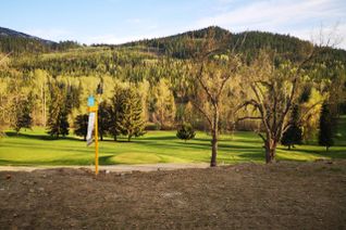 Vacant Residential Land for Sale, 445 Copper Road, Rossland, BC