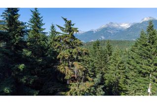 Land for Sale, 9202 Pinetree Lane, Whistler, BC