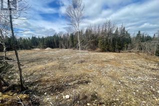 Land for Sale, 134 Main Road, Eastport, NL