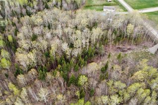 Property for Sale, Lot Mckeaghan Road, Williamstown, NB