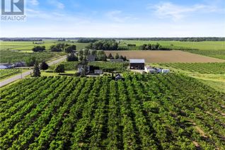 Commercial Farm for Sale, 1581 Concession 2 Road, Niagara-on-the-Lake, ON