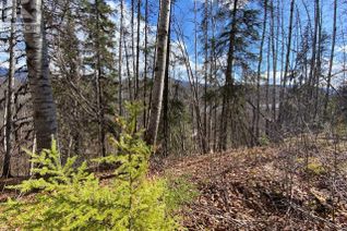 Land for Sale, 1557 Poplar Park Road #LOT, Hazelton, BC