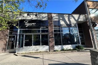 Business for Sale, 234 Laurier Avenue E, Ottawa, ON