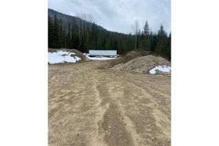 Land for Sale, Lot 1 Elliot Fsr, Lemon Creek, BC